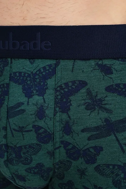 Трусы AUBADE XB58T LIBELLULE