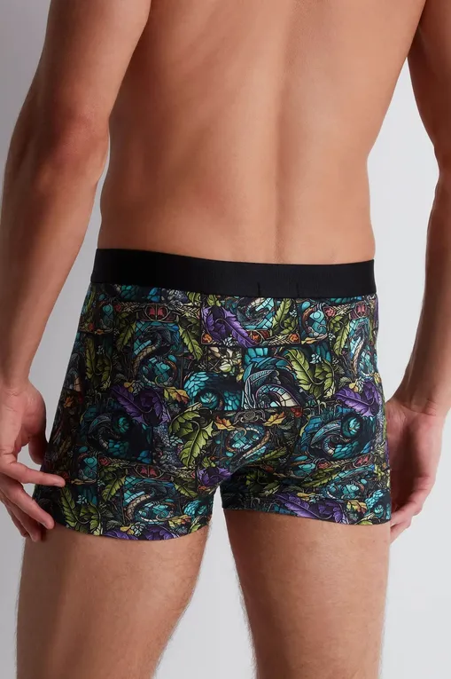 Трусы AUBADE XB78T DRAGON