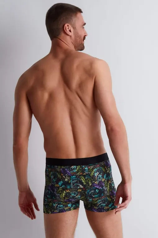 Трусы AUBADE XB78T DRAGON