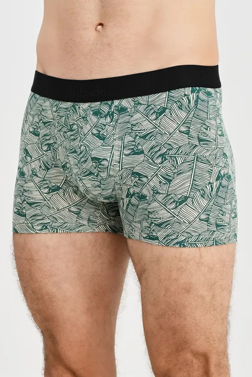 Трусы AUBADE XB78T GREEN PALM