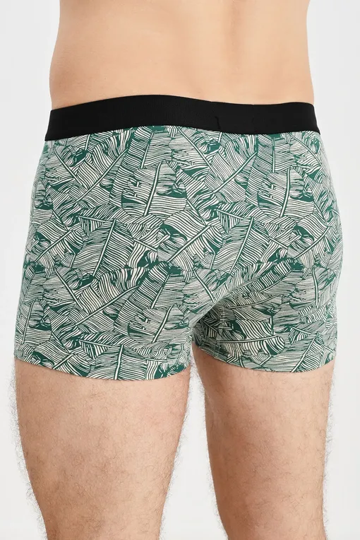 Трусы AUBADE XB78T GREEN PALM