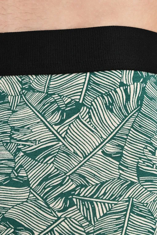 Трусы AUBADE XB78T GREEN PALM