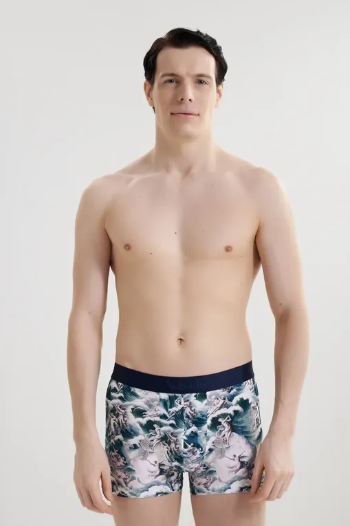 Трусы AUBADE XB78T OLYMPUS GOTS