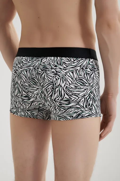 Трусы AUBADE XB79T WILD STRIPES