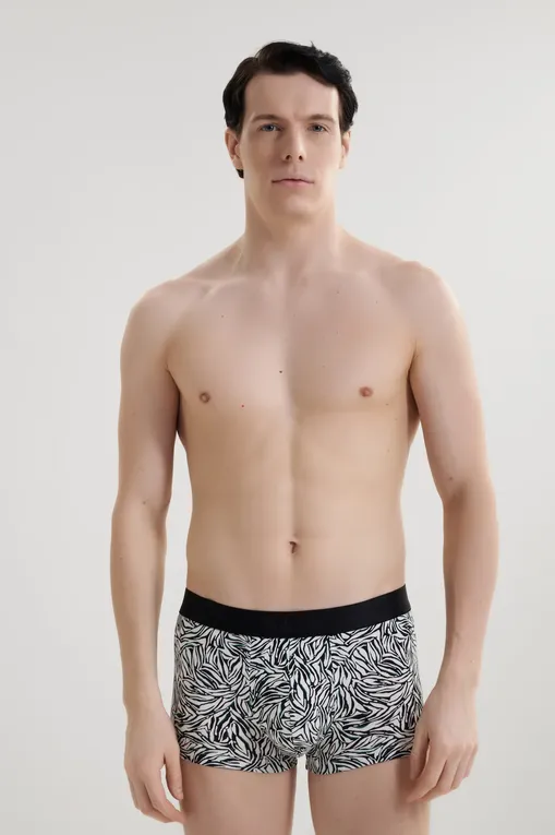 Трусы AUBADE XB79T WILD STRIPES