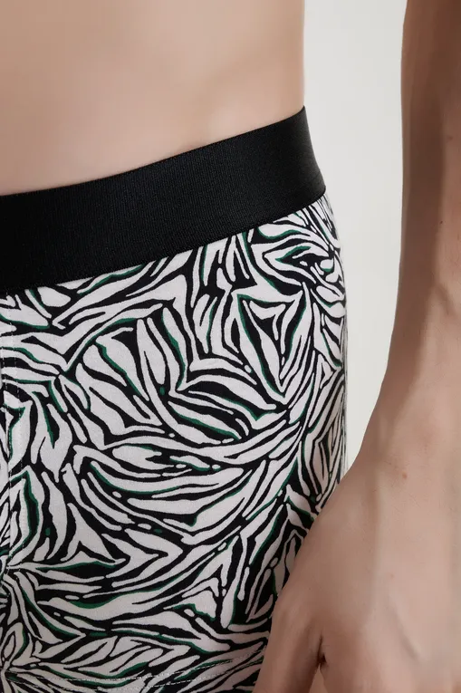 Трусы AUBADE XB79T WILD STRIPES