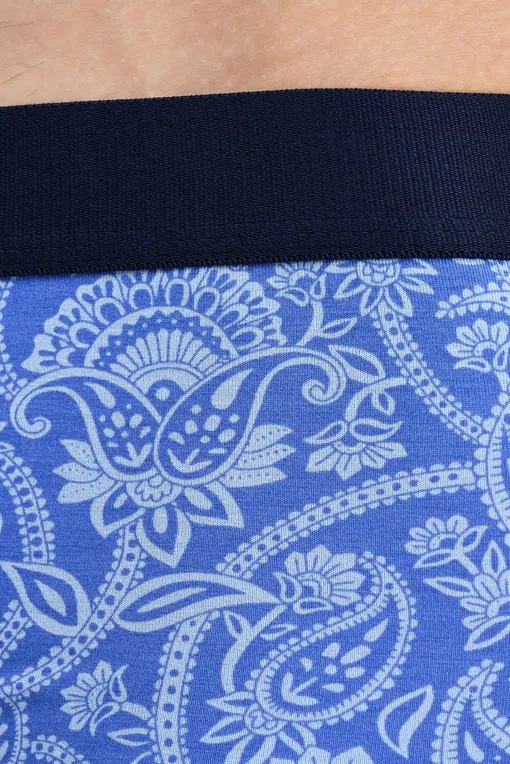 Трусы AUBADE XB79T BLUE BANDANA