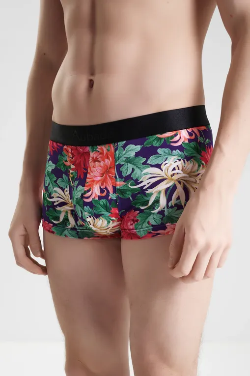 Трусы AUBADE XB79T CRAZY FLOWER