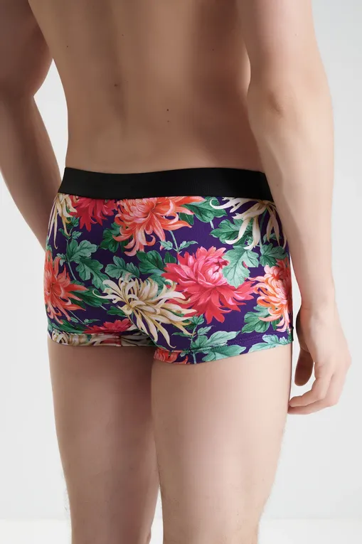 Трусы AUBADE XB79T CRAZY FLOWER