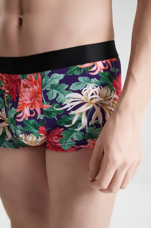 Трусы AUBADE XB79T CRAZY FLOWER