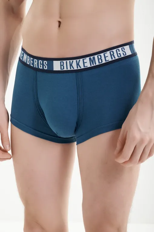 Трусы Bikkembergs BKK52UTR29TR Blue