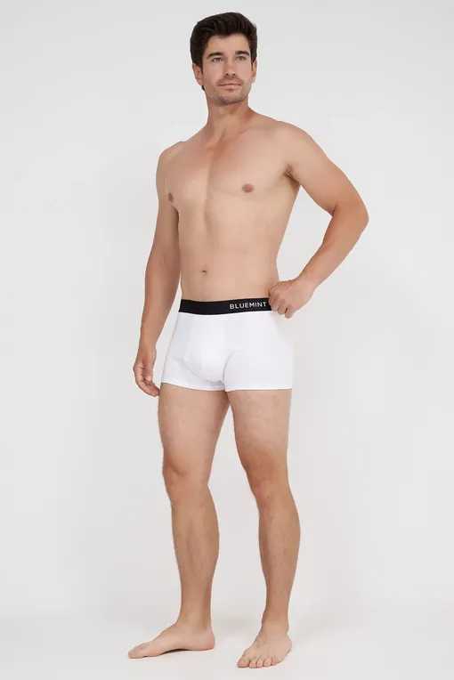 Трусы BLUEMINT TOM 112 WHITE