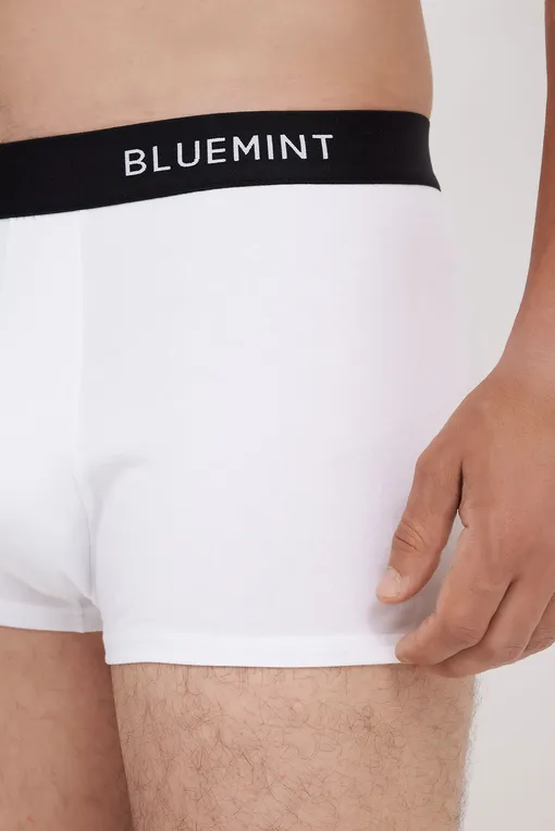 Трусы BLUEMINT TOM 112 WHITE