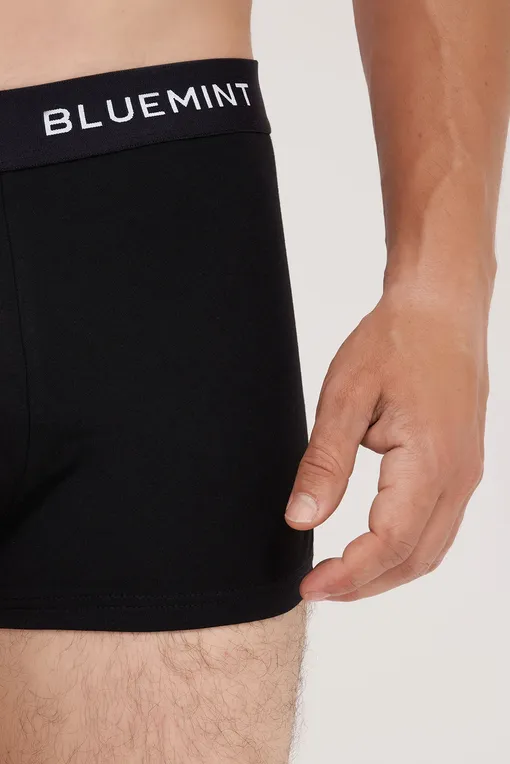 Трусы BLUEMINT TOM 111 BLACK