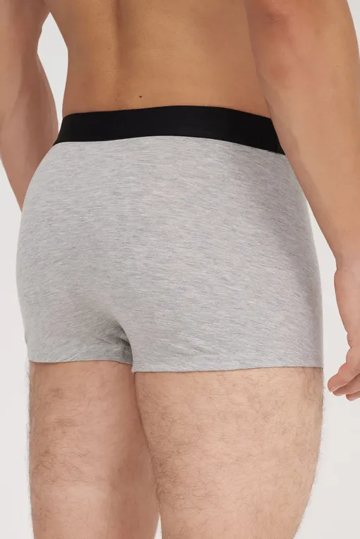 Трусы BLUEMINT TOM 105 GREY MELANGE