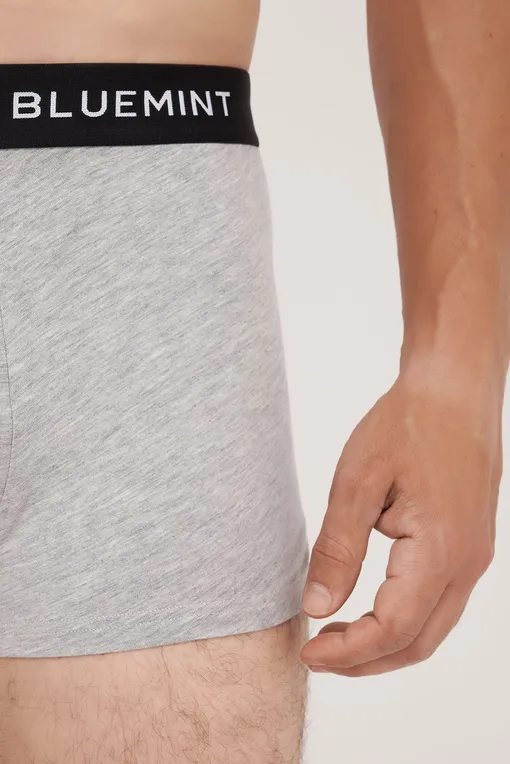 Трусы BLUEMINT TOM 105 GREY MELANGE