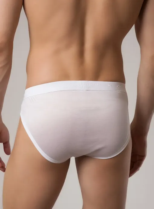 Классические Zimmerli 252880 01