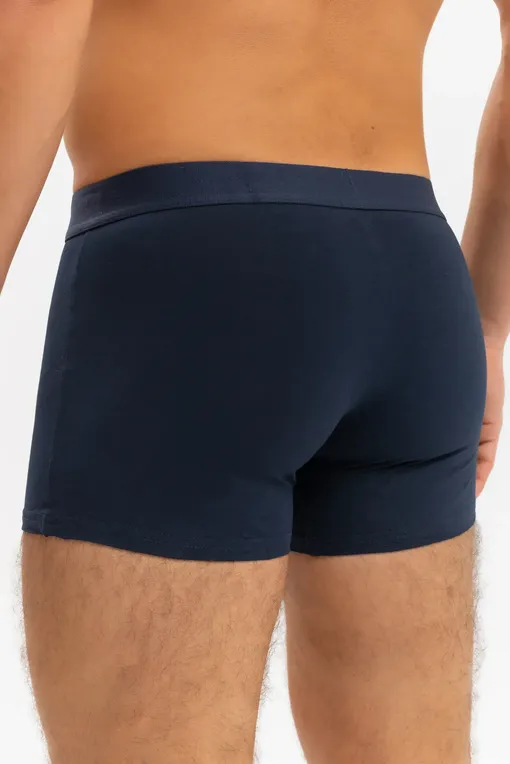 Трусы Bruno Banani 22012717 4862