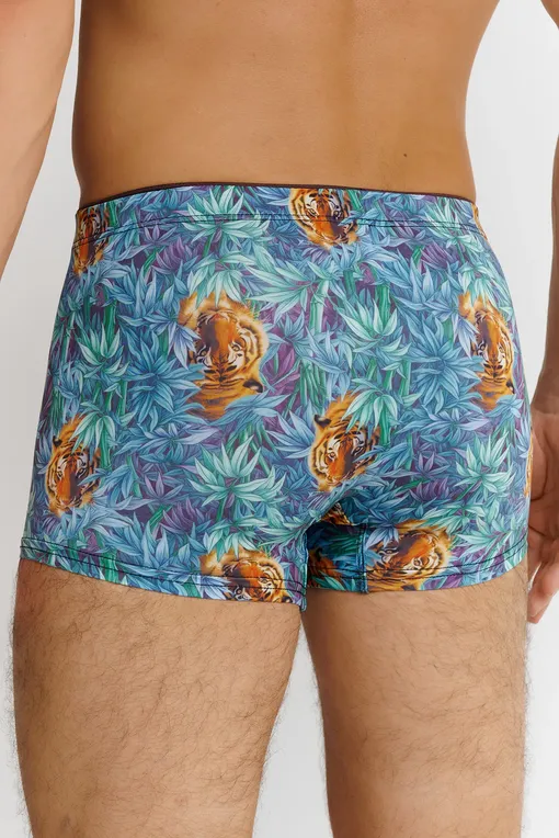 Трусы Bruno Banani 22022708 1756