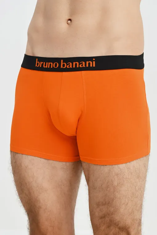 Трусы Bruno Banani 22031388 4675
