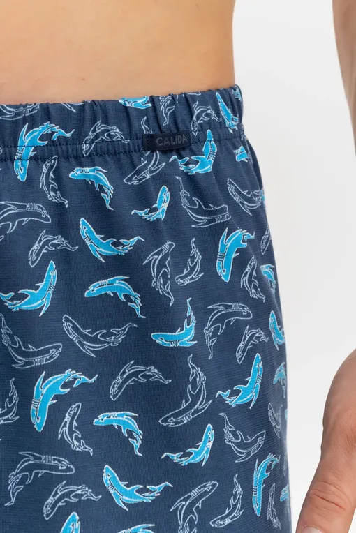 Трусы Calida 24389 398 danube blue