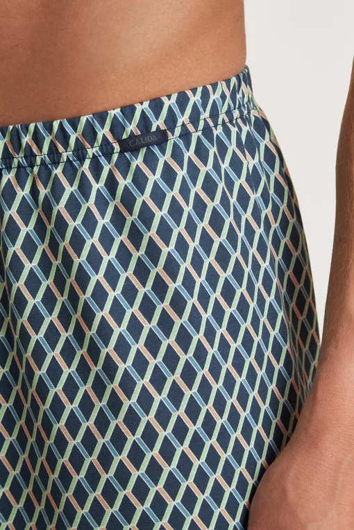 Трусы Calida 24389 792 insignia blue print