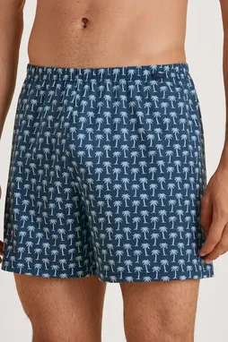 Calida 24389 793 insignia print