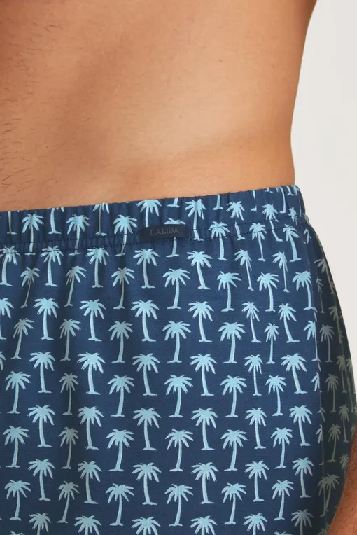 Трусы Calida 24389 793 insignia print