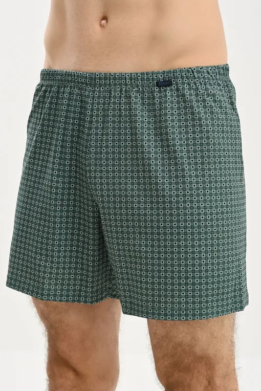 Трусы Calida 24389 549 dark glen