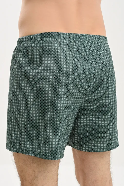 Трусы Calida 24389 549 dark glen