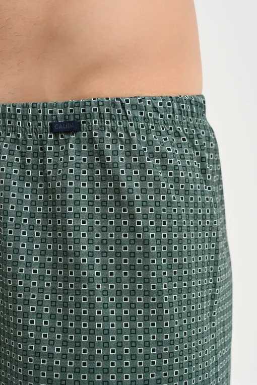 Трусы Calida 24389 549 dark glen