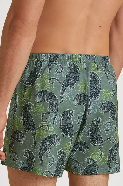 Трусы Calida 24389 782 laurel green print