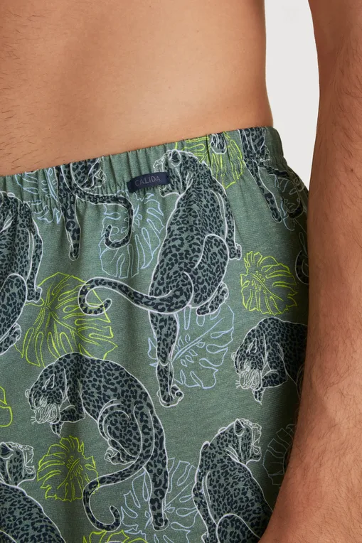 Трусы Calida 24389 782 laurel green print