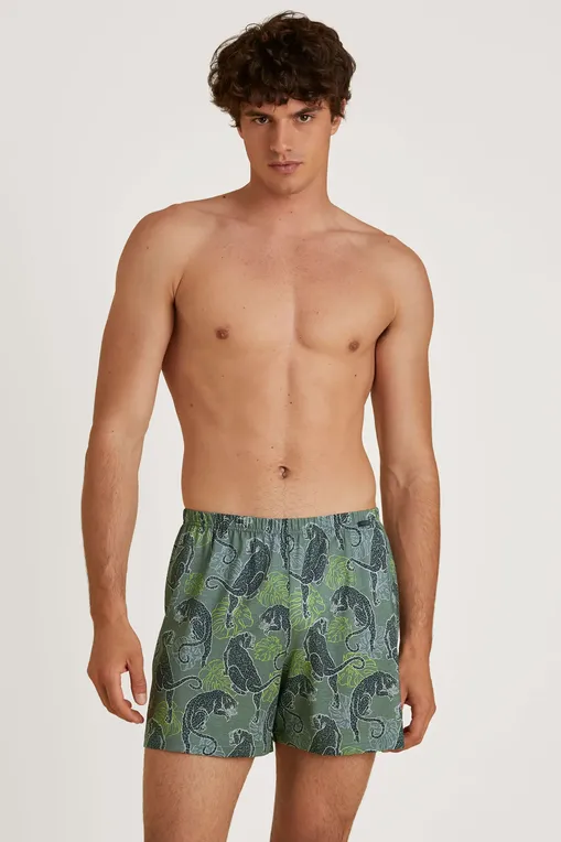 Трусы Calida 24389 782 laurel green print