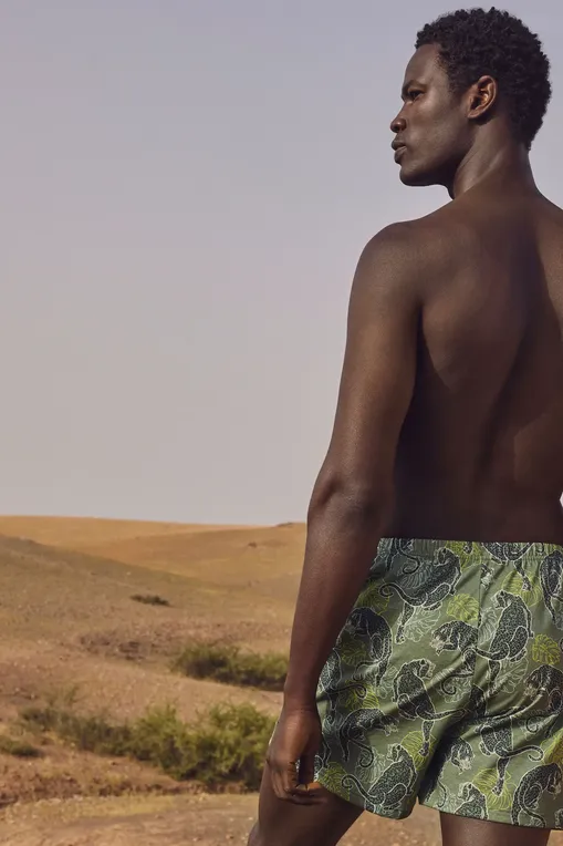 Трусы Calida 24389 782 laurel green print