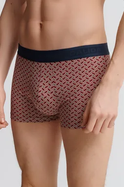 Calida 26072 886 fossil