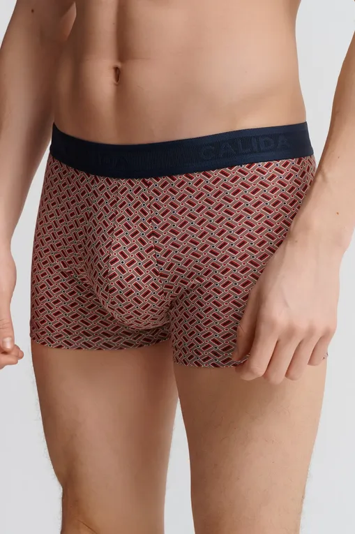 Трусы Calida 26072 886 fossil