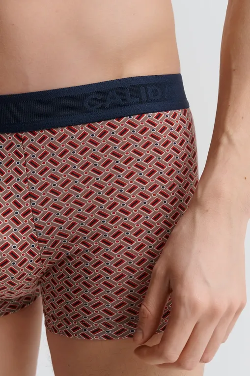 Трусы Calida 26072 886 fossil