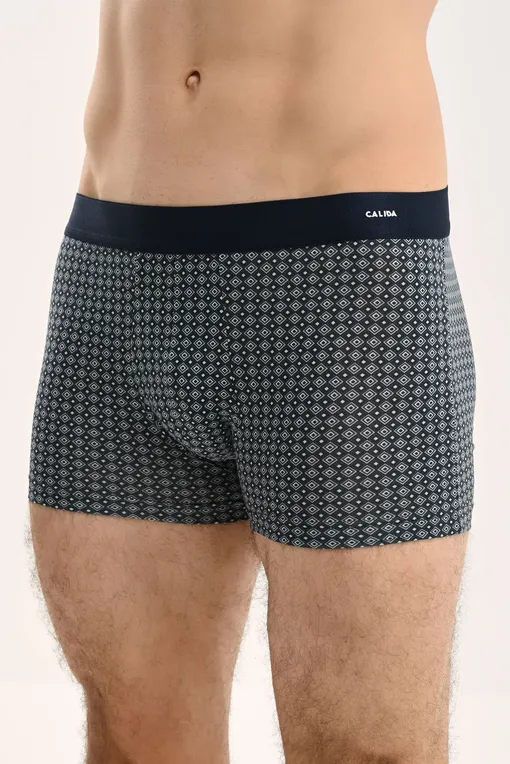 Трусы Calida 26189 947 shale grey