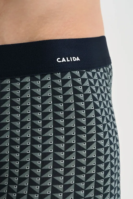 Трусы Calida 26189 549 dark glen