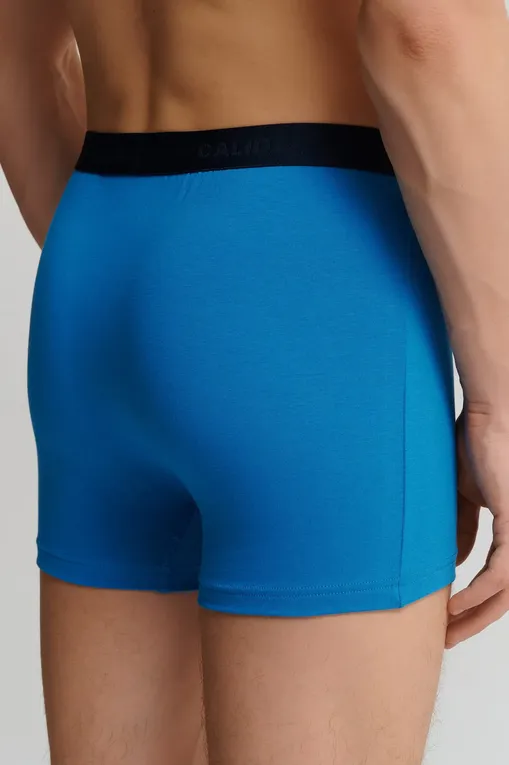 Трусы Calida 26341 799 multicolor