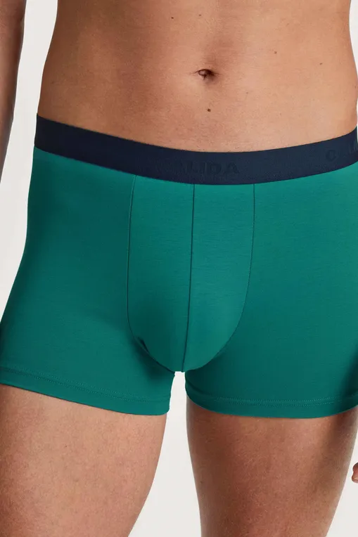 Трусы Calida 26341 595 pond green