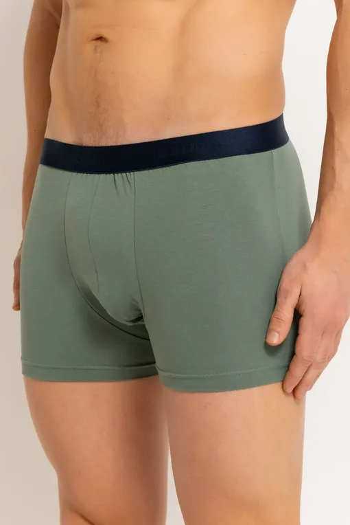 Трусы Calida 26341 618 laurel green