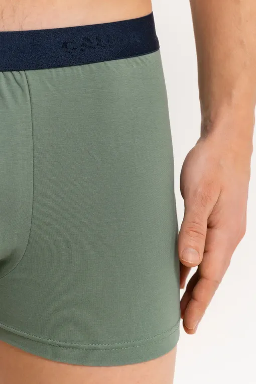 Трусы Calida 26341 618 laurel green