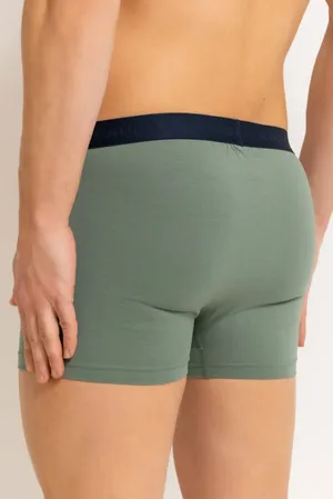 Calida 26341 618 laurel green