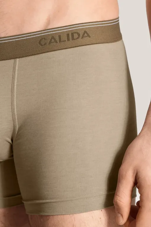Трусы Calida 26486 907 bronce