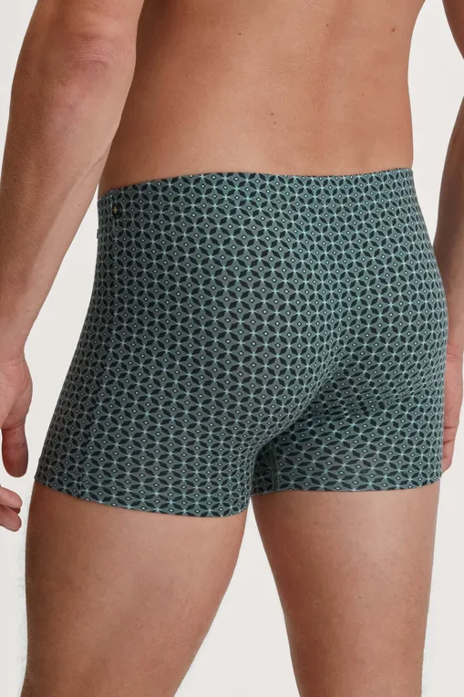 Трусы Calida 26487 549 dark glen