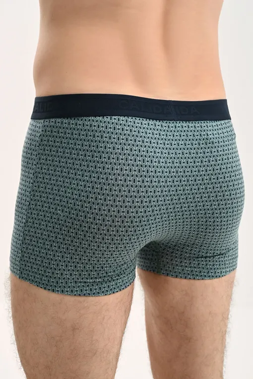 Трусы Calida 26583 549 dark glen