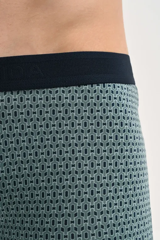 Трусы Calida 26583 549 dark glen