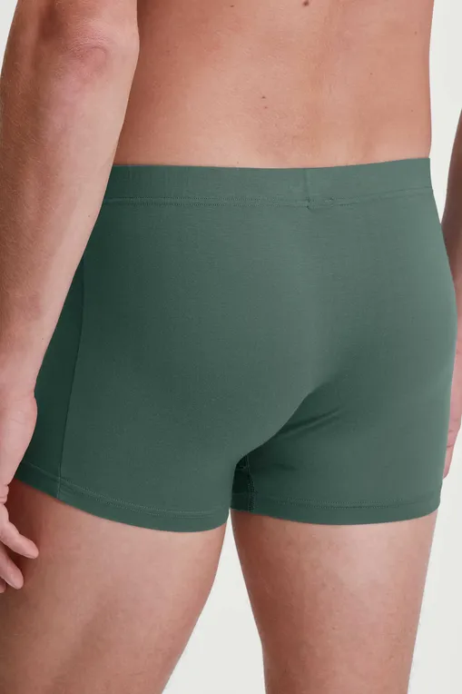 Трусы Calida 26618 549 dark glen